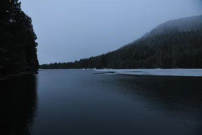 DSC_5805 (Large).JPG